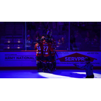 South Carolina Stingrays celebrate win