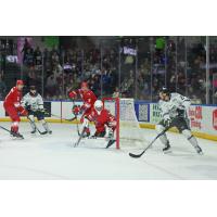 Allen Americans battle the Idaho steelheads