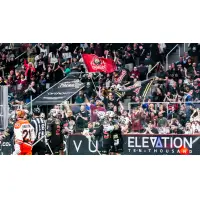 Albany Firewolves fans cheer on their team