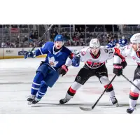 Belleville Senators right wing Xavier Bourgault screens the Toronto Marlies