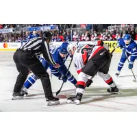 Belleville Senators face off with the Toronto Marlies