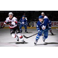 Belleville Senators battle the Toronto Marlies