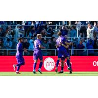 Louisville City FC celebrate Taylor Davila's goal