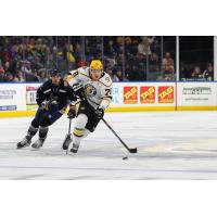 Toledo Walleye's Cole Gallant and Wheeling Nailers' Isaac Belliveau in action