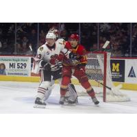 Rockford IceHogs' Marcel Marcel and Grand Rapids Griffins' Cross Hanas on game night