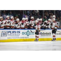 Tucson Roadrunners' Kailer Yamamoto and Julian Lutz on the ice