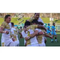 NOLA Gold celebrates a score