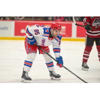 Kitchener Rangers left wing Chris Grisolia