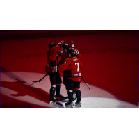 South Carolina Stingrays celebrate a goal