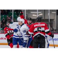 Belleville Senators in action
