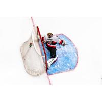 Belleville Senators goaltender Malcolm Subban