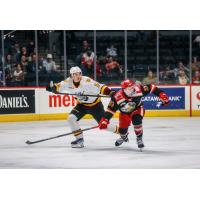 Grand Rapids Griffins center Amadeus Lombardi (right) vs. the Chicago Wolves
