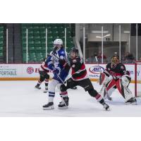 Belleville Senators defenceman Donovan Sebrango (right) vs. the Syracuse Crunch