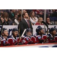Former South Carolina Stingrays Head Coach Ryan Warsofsky