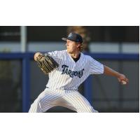 Tampa Tarpons in action