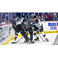 Tulsa Oilers' Reid Petryk and Wichita Thunder's Artyom Guryev in action