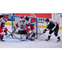 Wichita Thunder forward Peter Bates tries to poke one home vs. the Allen Americans