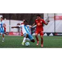 Chicago Fire FC II fights for the ball at New York Red Bulls II