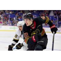 Vancouver Giants forward Tyler Thorpe