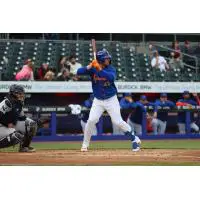 Syracuse Mets' Joey Meneses at bat