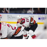 Tucson Roadrunners right wing Austin Poganski