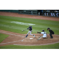 Alexander Vargas of the Somerset Patriots at bat