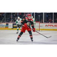 Grand Rapids Griffins left wing Carson Bantle