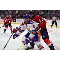 Orlando Solar Bears forward Spencer Kersten vs. the South Carolina Stingrays