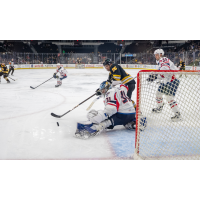 Springfield Thunderbirds goaltender Colten Ellis tips aside a shot from the Providence Bruins