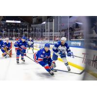 Syracuse Crunch battle the Rochester Americans