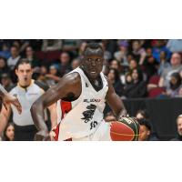 Ottawa BlackJacks forward Deng Adel
