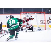 Tucson Roadrunners goaltender Jaxson Stauber
