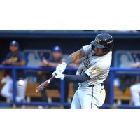 Xavier Isaac at bat for the Montgomery Biscuits