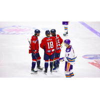 South Carolina Stingrays huddle on the ice