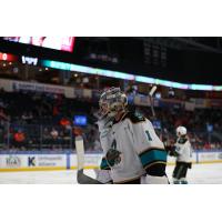 Tahoe Knight Monsters goaltender Jesper Vikman