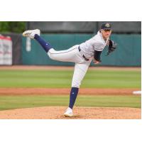 Charleston RiverDogs pitcher Trevor Harrison