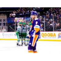 Florida Everblades celebrate a goal against the Orlando Solar Bears