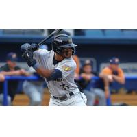 Montgomery Biscuits outfielder Homer Bush Jr.