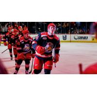 Grand Rapids Griffins forward Michael Brandsegg-Nygard