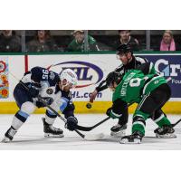 Texas Stars face off with the Milwaukee Admirals