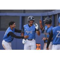 Tampa Tarpons all smiles after scoring yet again