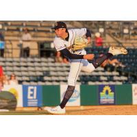 Charleston RiverDogs pitcher Trevor Harrison