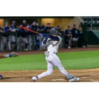Tri-City Dust Devils at the plate