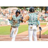 Narciso Polanco of the Charleston RiverDogs is greeted at the plate