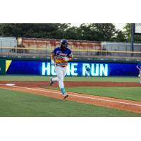 Montgomery Biscuits outfielder Matthew Etzel