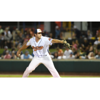 Down East Bird Dawgs on the mound