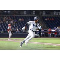 Tampa Tarpons' Hans Montero in action