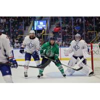 Florida Everblades forward Craig Needham vs. the Trois-Rivières Lions