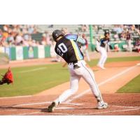 Charleston RiverDogs catcher Nathan Flewelling