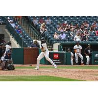 Greensboro Grasshoppers infielder Maikol Escotto